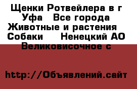 Щенки Ротвейлера в г.Уфа - Все города Животные и растения » Собаки   . Ненецкий АО,Великовисочное с.